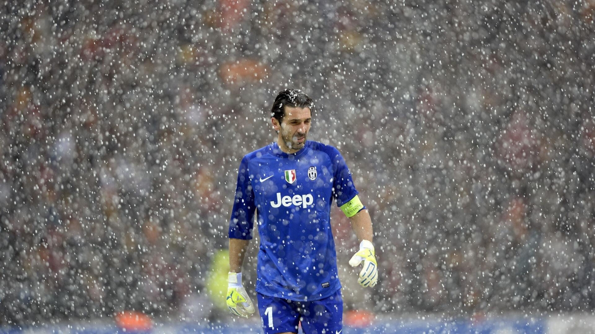 从看台到社区,球迷文化如何塑造现代体育的集体记忆